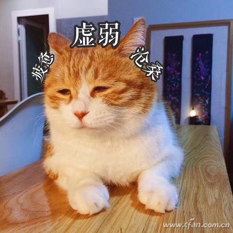 ΢�ňDƬ_20170614153937