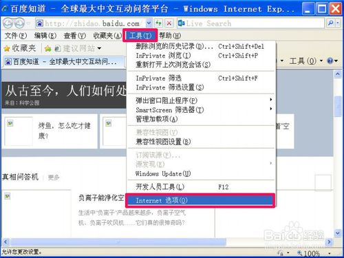 IE�g�[�����Ǐ����_���e�`��ô��Q