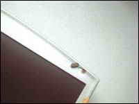 �Pӛ��ˤ�������Ȍ�(sh��)�!(���D)